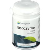 Springfield Encozyme NADH 10 mg
