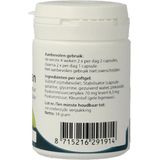 Springfield Synoxan hyaluronzuur low-molec 70 mg 60 softgels