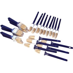 Set Wegwerpkwasten 25-delig - wegwerpkwast