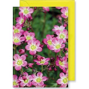 6 Wenskaarten met gekleurde envelop - MGPcards - Blanco - Bloemen - 11,5 x 17 cm