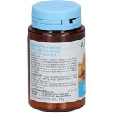 Arkocaps - Curcuma - Kruidenpreparaat - Poeder - 100% Plantaardig
