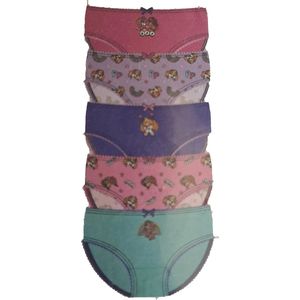 Paw Patrol - Skye - Slip - 5 Stuks