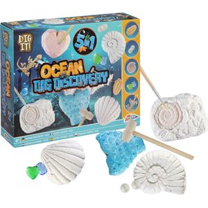 Grafix Oceaan Fossielen ontdekken | 5-in-1 oceaan ontdekking | Experimenteerdoos | Opgraven & Ontdekken | Wat kun jij vinden in de oceaan ? | Speelgoed voor kinderen vanaf 5 jaar