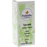 Tijm Wild - Kruid - Spanje