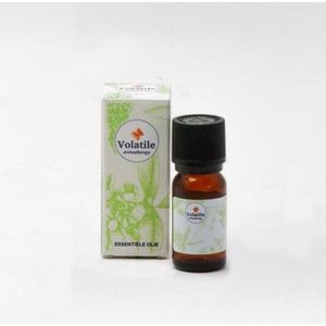 Eucalyptus radiata bio