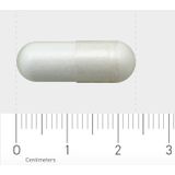 AOV 606 Acetyl-L-Carnitine - 90 vegacaps - Aminozuur