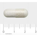 AOV 607 L-Lysine - 90 vcaps