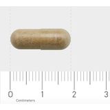 AOV 834 Bacopa (Brahmi) - 60 vcaps