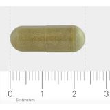 AOV 1032 weerstandscomplex 60 Vegan capsules