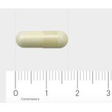 AOV - 220 Pyridoxaal-5-fosfaat - 120 Vegetarische Capsules - Vitamine B6