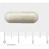 AOV 1015 Zaagpalmcomplex - 60 vegacaps - Kruidenpreparaat