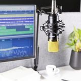 Studio microfoon - Vonyx CMS400B - Met verstelbare arm, shockmount en popfilter