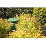 Power Dynamics GS530 groene tuinspeaker - 5.25 30W 100V IP45