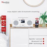 DAB Radio met Bluetooth en Wifi - Audizio Bari - AUX - Spotify Connect - 2 Speakers - Wekkerradio