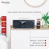 DAB Radio met Bluetooth en Wifi - Audizio Bari - AUX - Spotify Connect - 2 Speakers - Wekkerradio