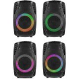 Fenton - FT8LED-MK2 - Party Speaker - Zwart - Bluetooth 5.0 - 300W Vermogen