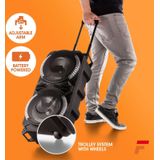 Fenton - LIVE280 - Party Speaker - Bluetooth - 900 Watt - Karaoke Set met 2 Microfoons