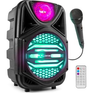 Karaoke set - Fenton FP8JB - Bluetooth karaoke set met microfoon - 100W - Party speaker - Accu