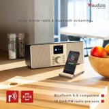 DAB Radio - Audizio Monza - Stereo DAB+ en FM Radio met Bluetooth - 50W - Zilver