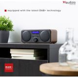 DAB Radio met FM - Audizio Novara - Stereo - 40 Watt - 20 Voorkeurszenders - Hout