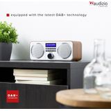 DAB Radio met FM - Audizio Novara - Stereo - 40 Watt - 20 Voorkeurszenders - Zilver