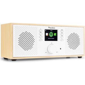 Internetradio en Spotify Connect - Audizio Rimini - AUX - Sleep Timer - Wit