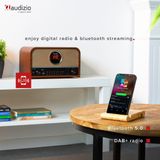 AUDIZIO Salerno Internetradio - Bruin - DAB - CD Speler - Bluetooth