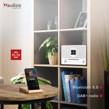 AUDIZIO Lucca Internetradio - Bruin - DAB - Bluetooth - CD Speler