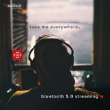 Audizio ANC110 Draadloze Bluetooth Koptelefoon met ANC