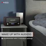 AUDIZIO - Foggia - DAB Radio - Grijs - Draagbaar - Bluetooth - 50 Watt