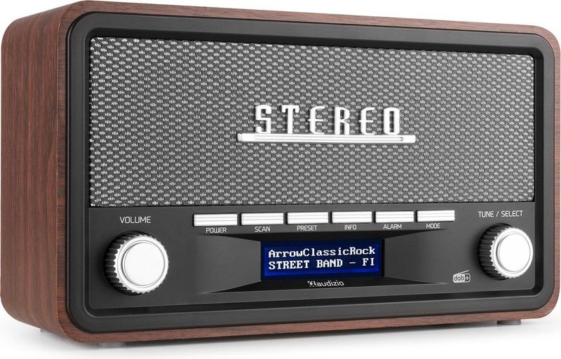 AUDIZIO - Foggia - DAB Radio - Grijs - Draagbaar - Bluetooth - 50 Watt