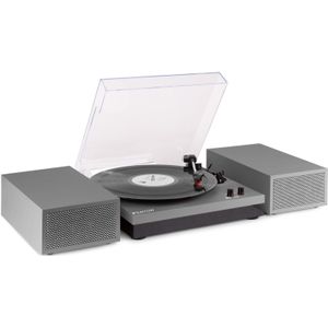 Retro Platenspeler met Bluetooth en Speakers - Fenton RP165G - Incl. Naald - Aluminium / zilver