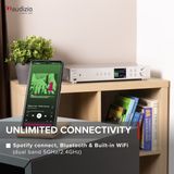 AUDIZIO Adria Tuner - Zilver - FM DAB Wifi Bluetooth