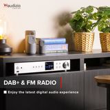 AUDIZIO Adria Tuner - Zilver - FM DAB Wifi Bluetooth