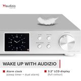 AUDIZIO Adria Tuner - Zilver - FM DAB Wifi Bluetooth
