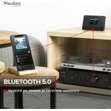AUDIZIO Livorno - DAB+ Tuner - Zwart - WIFI - Bluetooth