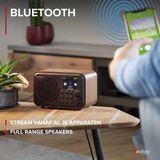 AUDIZIO Vicenza - DAB en Internet Radio - Bruin - Accu