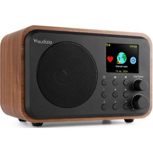 DAB Radio - Audizio Vicenza - DAB / DAB+ en Internet Radio met Bluetooth - WIFI - Accu