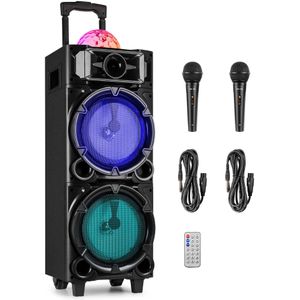 Fenton - LIVE290 - Karaoke Set - Met Microfoons - Bluetooth - 300W