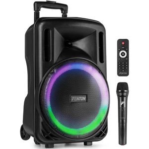 Fenton FT12LED MK2 party speaker met Bluetooth - Karaoke speaker met microfoon - 12 inch - 700W