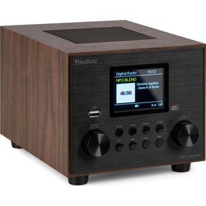 DAB radio Audizio Vieste DAB+ radio met subwoofer en Bluetooth Houtlook Met afstandsbediening