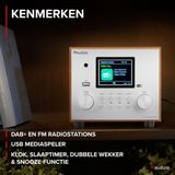 DAB radio Audizio Vieste DAB+ radio met subwoofer en Bluetooth Zilver Met afstandsbediening