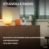 DAB radio Audizio Vieste DAB+ radio met subwoofer en Bluetooth Wit Met afstandsbediening
