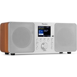 AUDIZIO - Genua - DAB Radio - Zilver - Bluetooth - 30 Voorkeurszenders