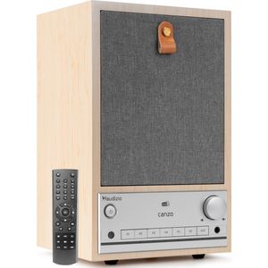 Audizio - Canzo - Internetradio - Lichtbruin - FM & DAB - Bluetooth