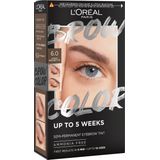 L'Oréal Paris - Brow Color - Wenkbrauwverf - 6.0 Light Brunette - Kleurcrème - 10 Beurten