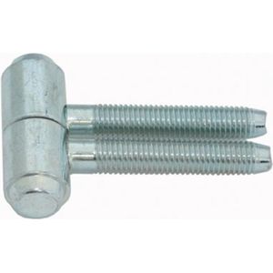 Van Erp - Forta - 2 Delig - Hout Kozijn Anuba - Staal