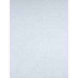 ProGold Glasvlies - Kreukt niet - Naadloze verwerking - Verbergt oneffenheden - Wit - 50 x 1 Meter