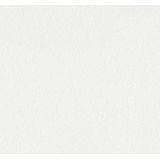 ProGold Glasvlies - Kreukt niet - Naadloze verwerking - Verbergt oneffenheden - Wit - 50 x 1 Meter