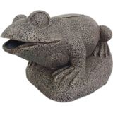 Superfish frog filter - Superfish